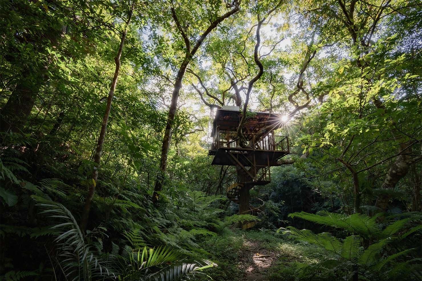 沖縄の手付かずの自然と共存、Treeful Treehouseでサステイナブルを体験する