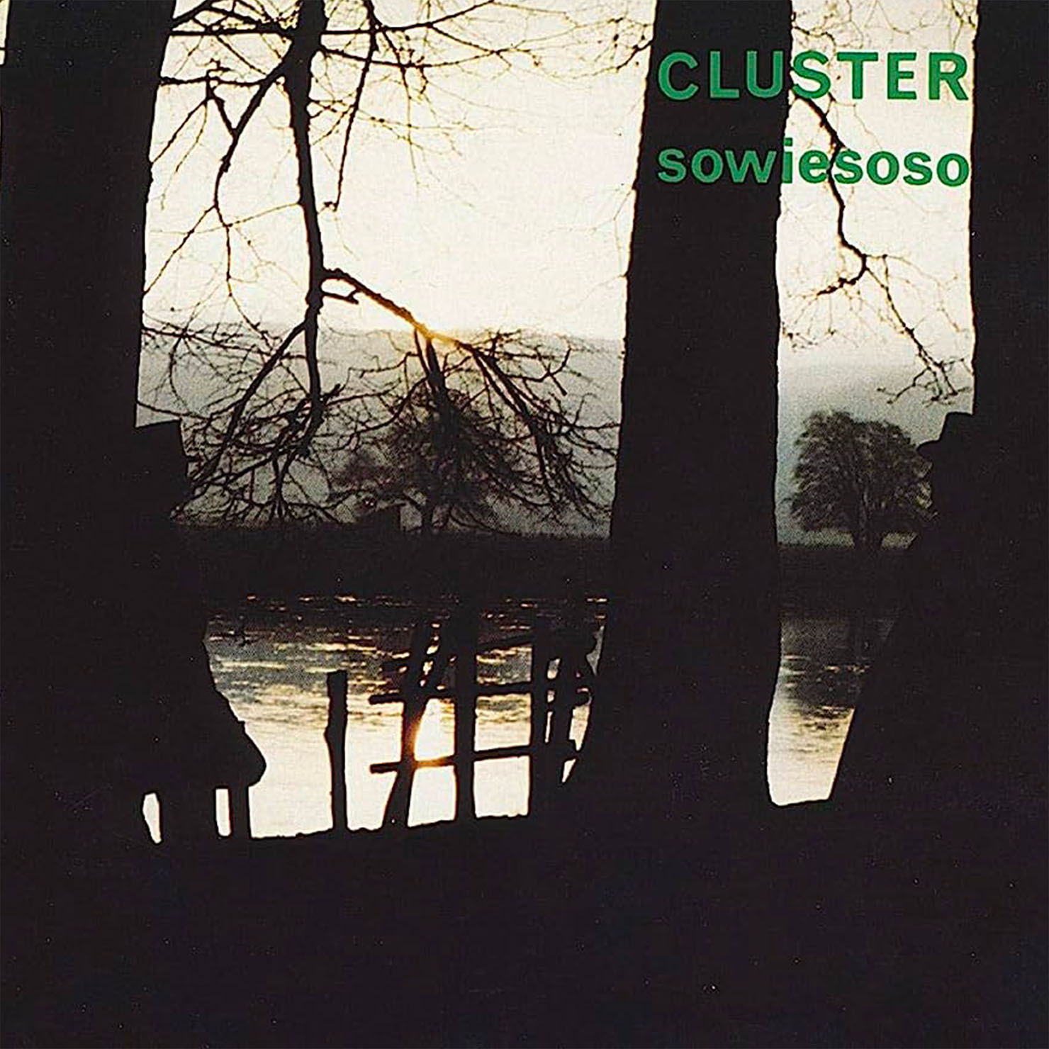 Cluster / Sowiesoso