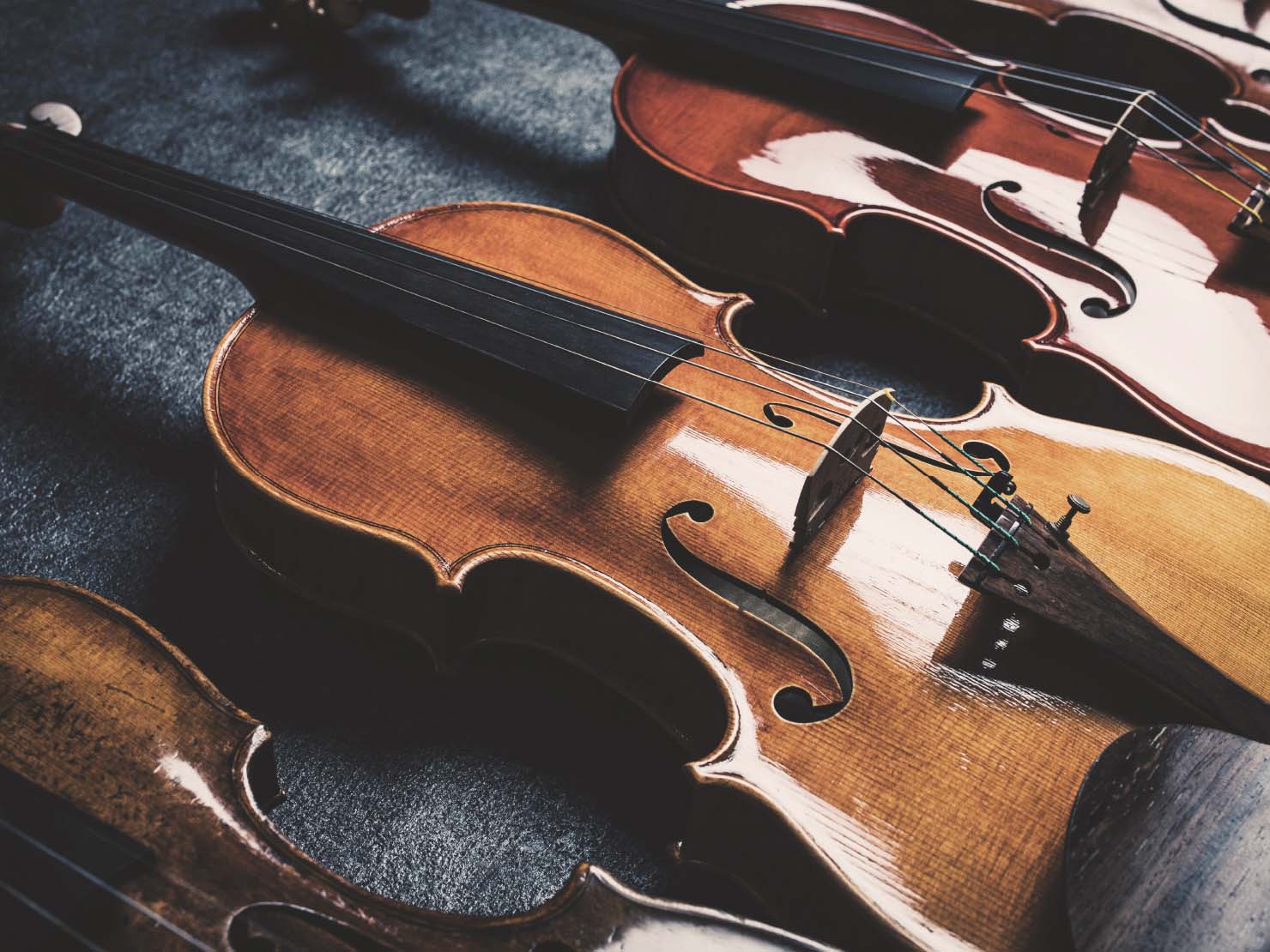 バイオリンは、胴の表板がスプルースという針葉樹で、裏板は広葉樹のメープルが用いられることが普通