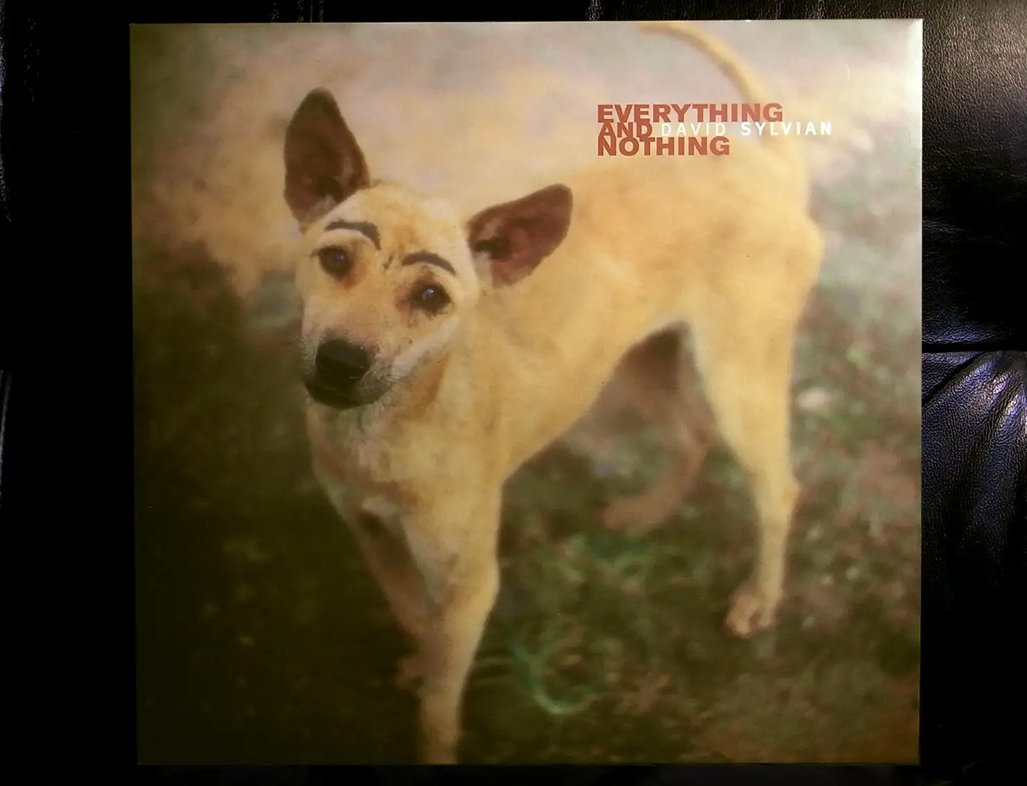 音がいいにもほどがある！ 〜第10回デヴィッド・シルヴィアン『Everything & Nothing』
