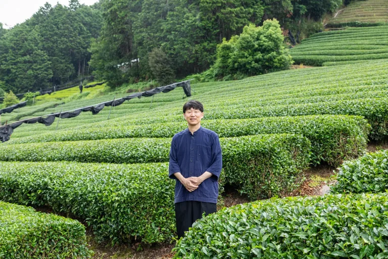 京都の老舗茶問屋、宇治香園の小嶋宏一氏に訊く、日本茶の面白さと、音楽との関係