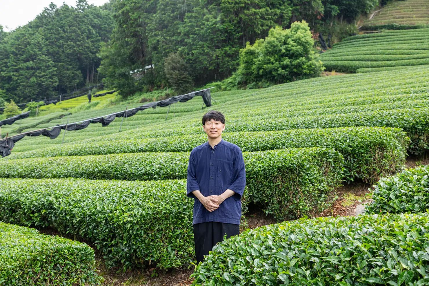 京都の老舗茶問屋、宇治香園の小嶋宏一氏に訊く、日本茶の面白さと、音楽との関係