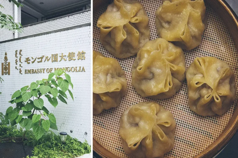 餃子と音楽は大使館に聞け？モンゴルの豊かな餃子文化と民族音楽を味わおう〜ボーズ、バンシ、バンシタイツァイ〜