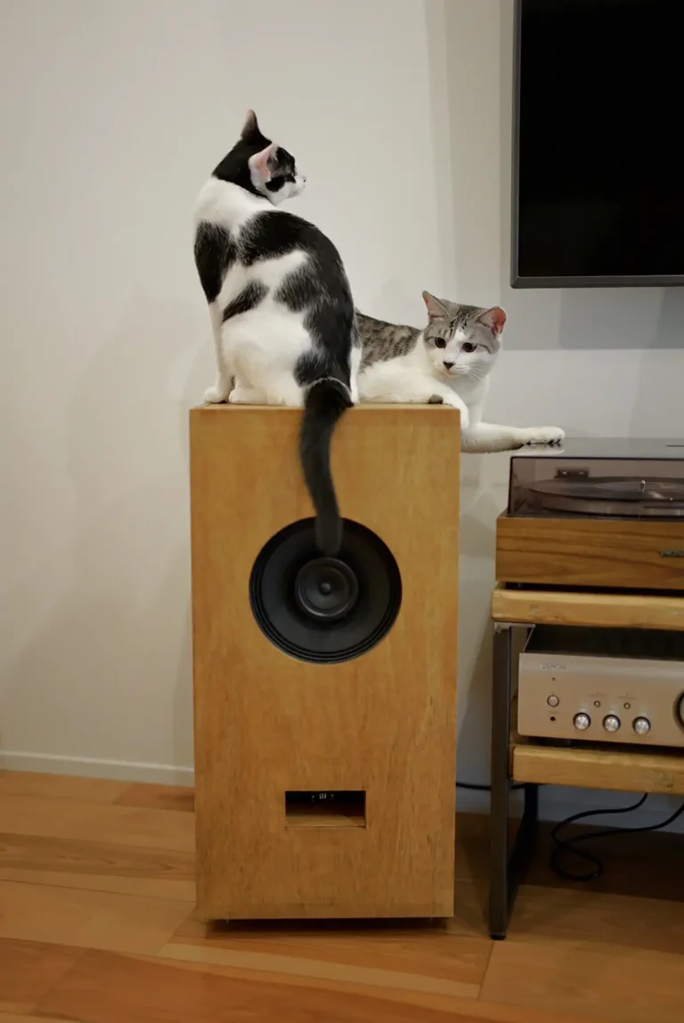 ネコと音楽鑑賞って、大丈夫なの？