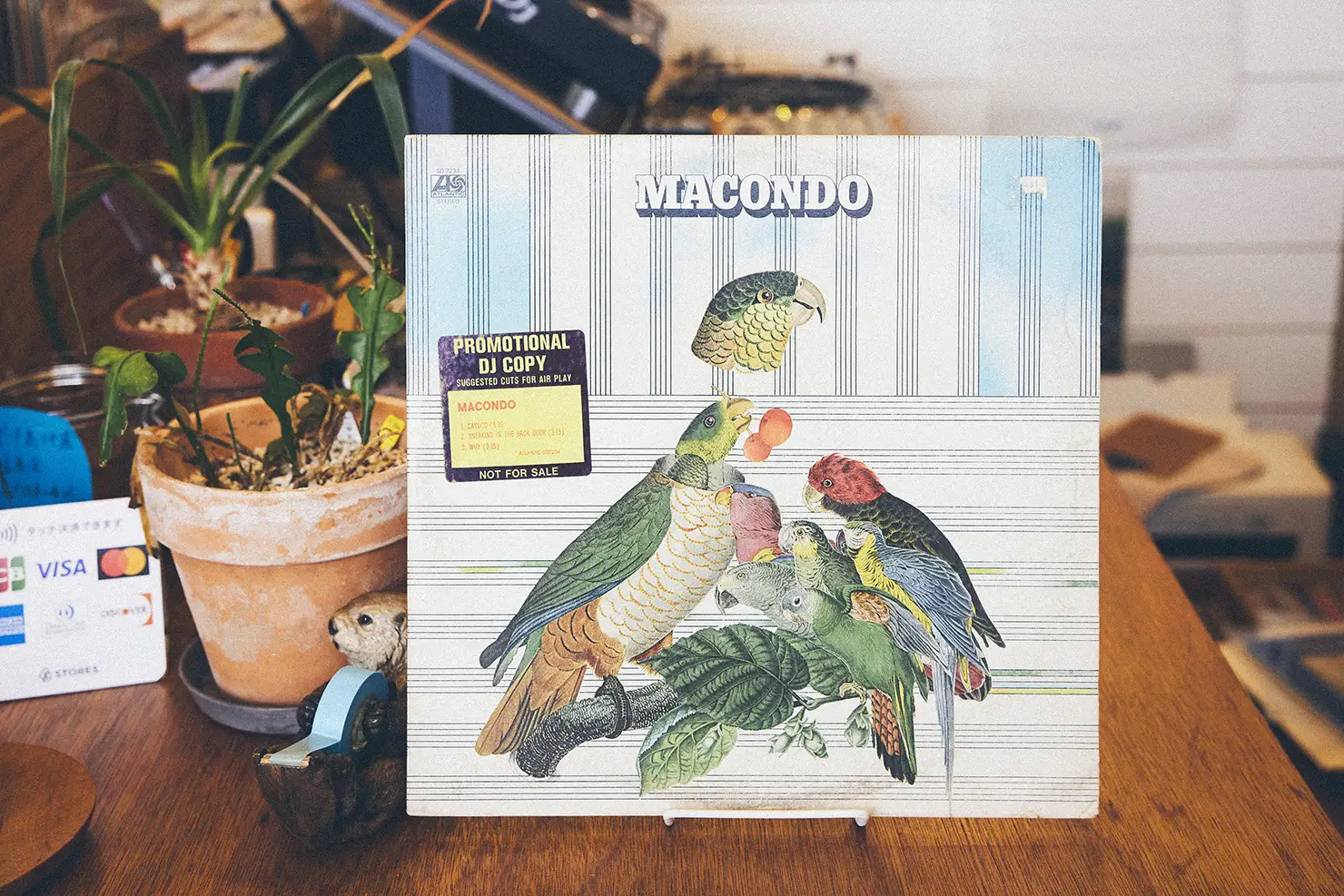 大河紀が選んだ3枚目、Macondo『Macondo』
