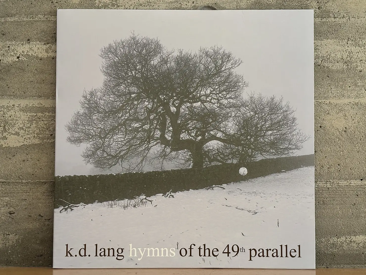 k.d.ラングの「A Case of You」