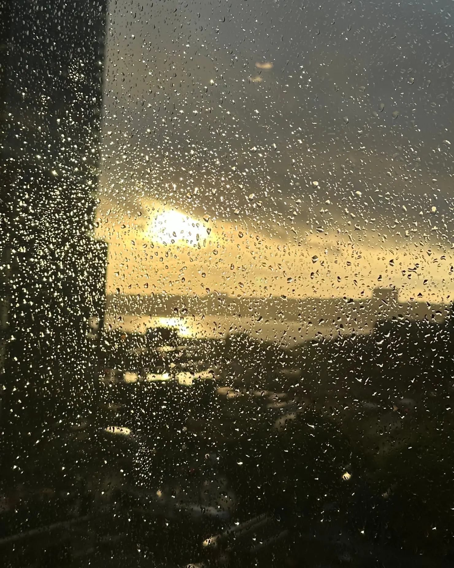 雨の日に、音楽が少しだけよく聴こえる理由。専門家に聞く梅雨のサウンドスケープ