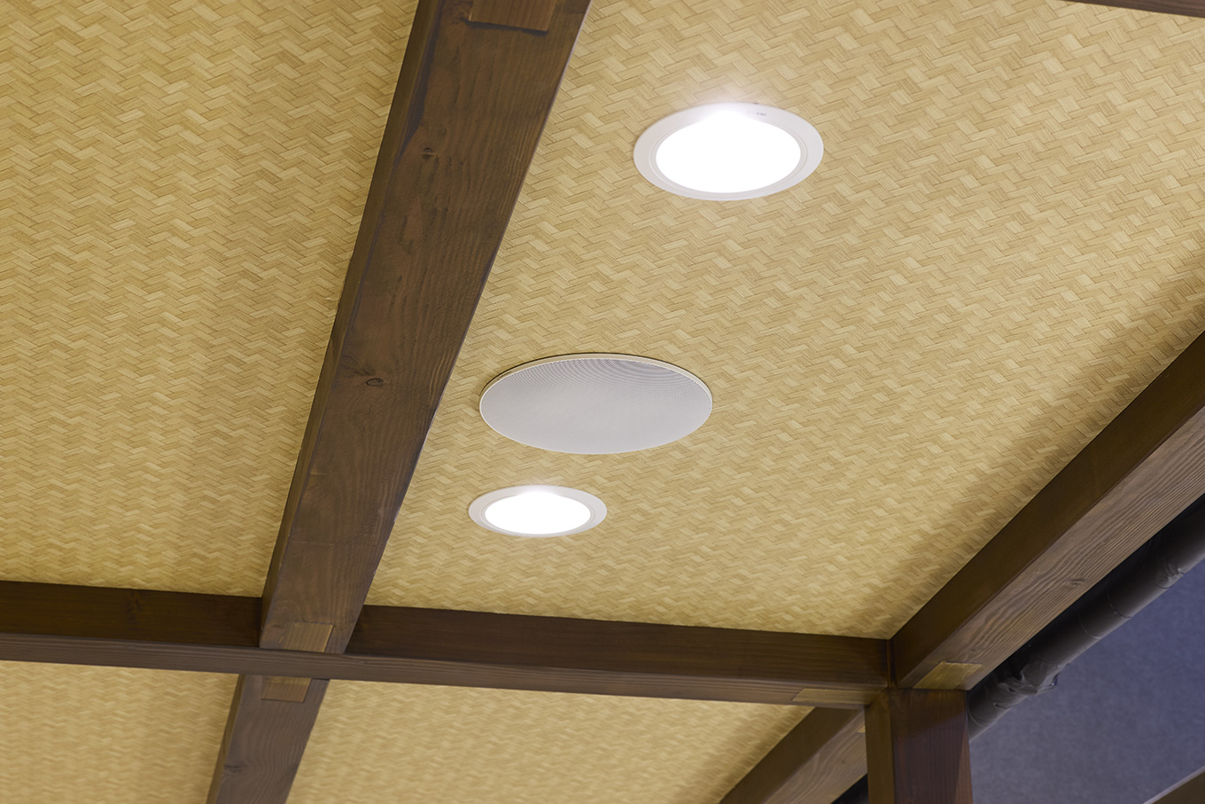 明るい色の天井にも馴染むデザイン