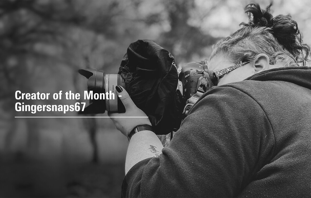 Creator Month：Gingersnaps67