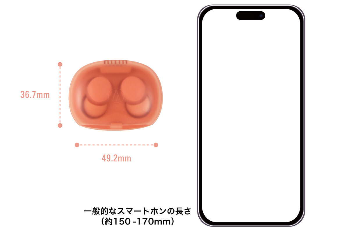 AT-ERP3：専用キャリングケース