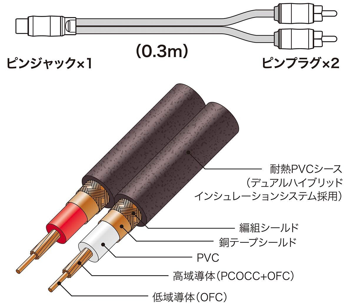 AT-RS24P2：構造イメージ