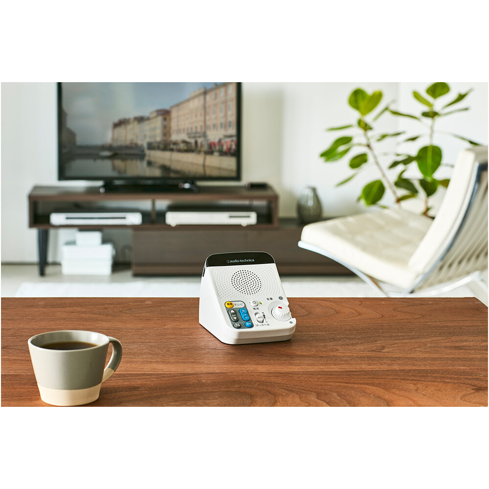 AT-SP450TV｜AVアクセサリー｜オーディオテクニカ